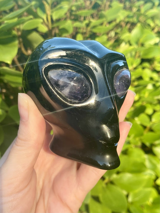 Black Obsidian Alien Head with Amethyst Eyes