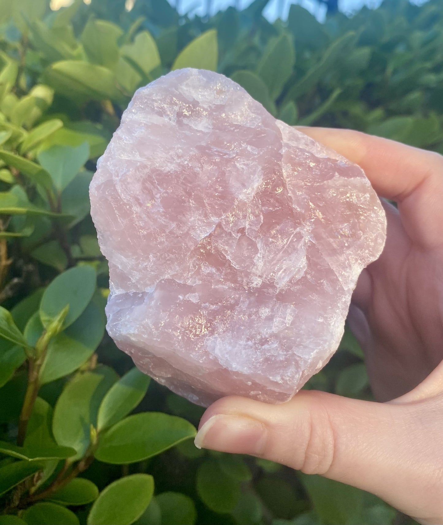 Rose Quartz Chunk - Raw