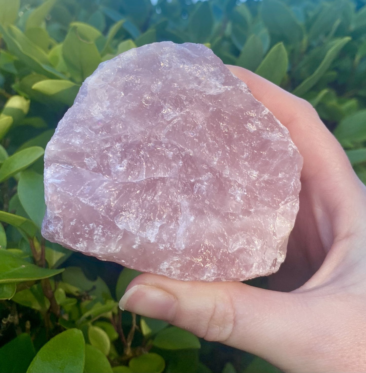 Rose Quartz Chunk - Raw