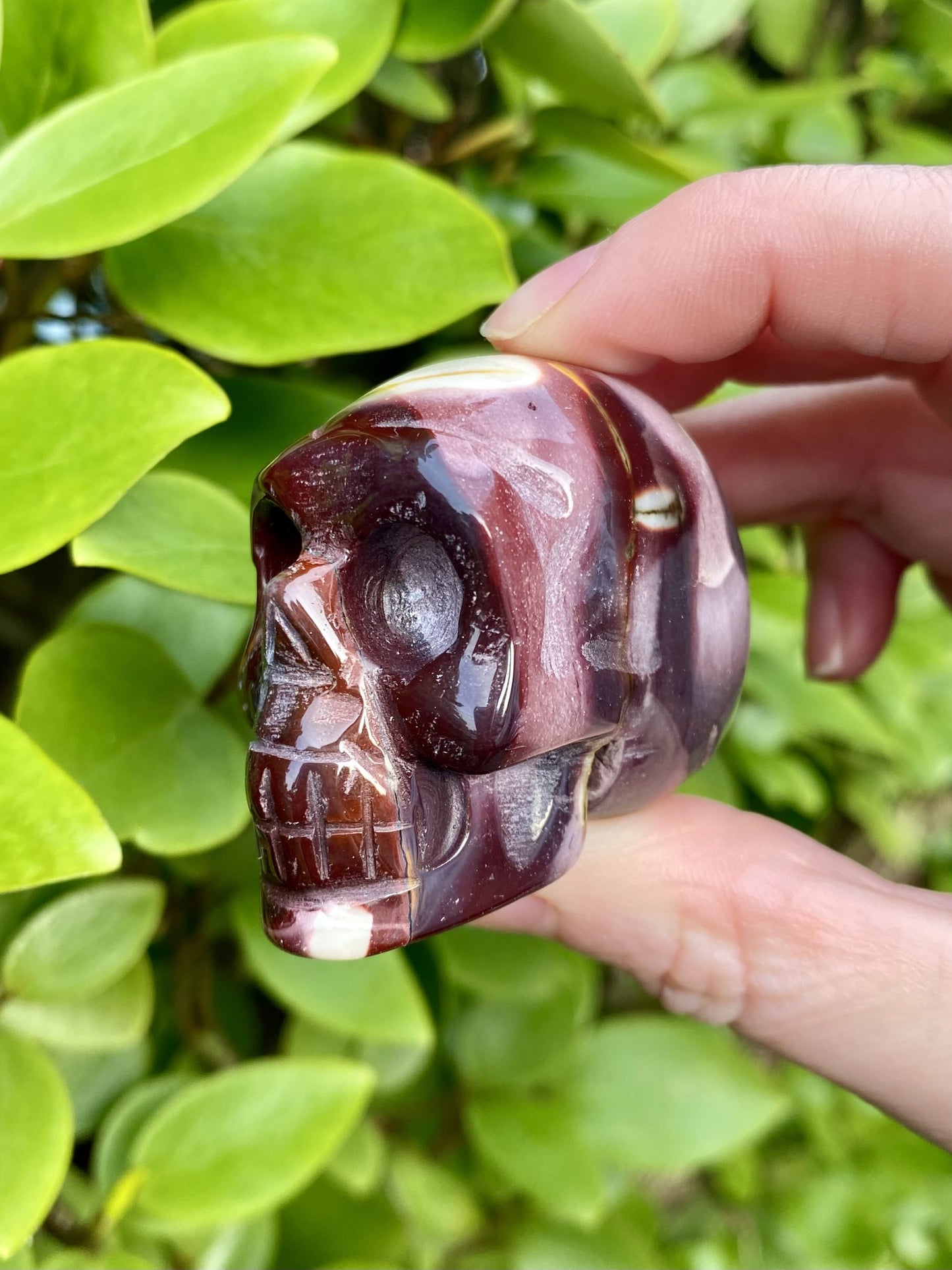 Mookaite Polished Skull