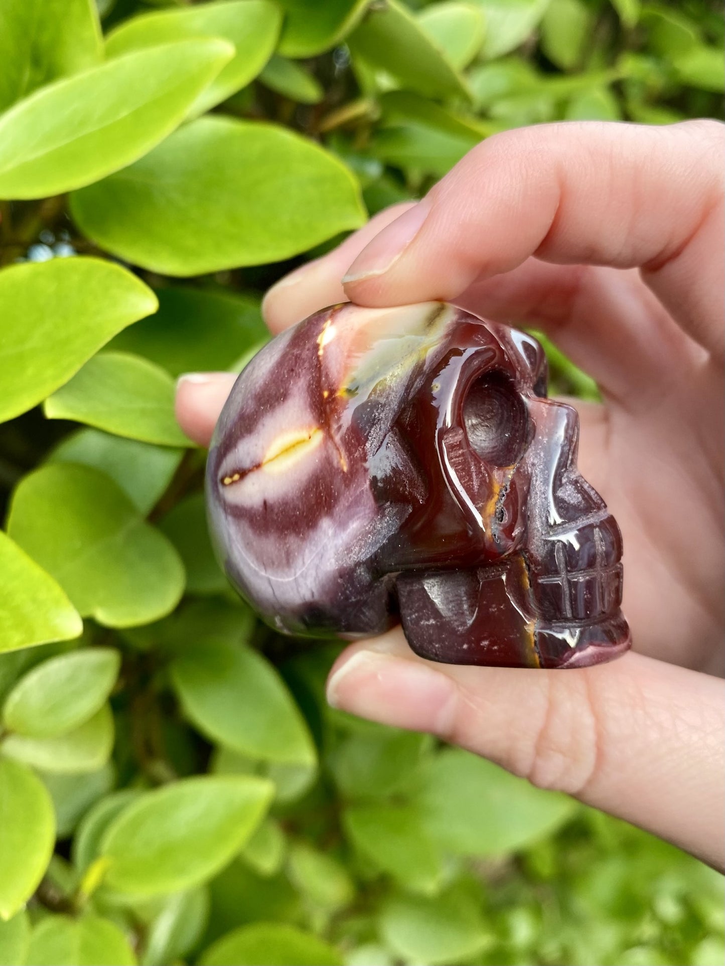 Mookaite Polished Skull