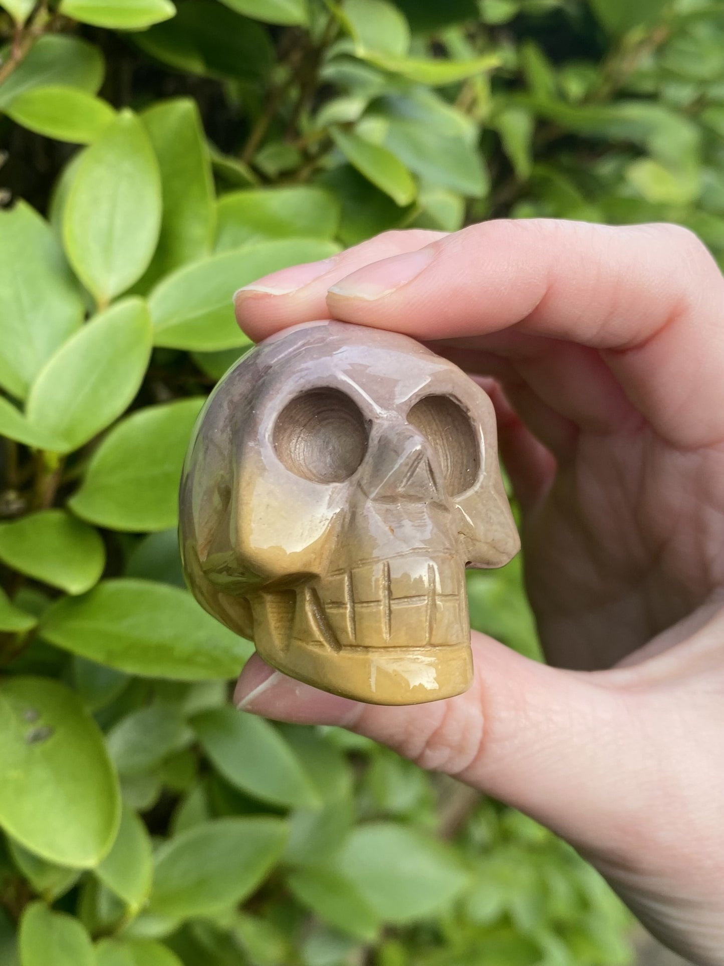 Mookaite Polished Skull