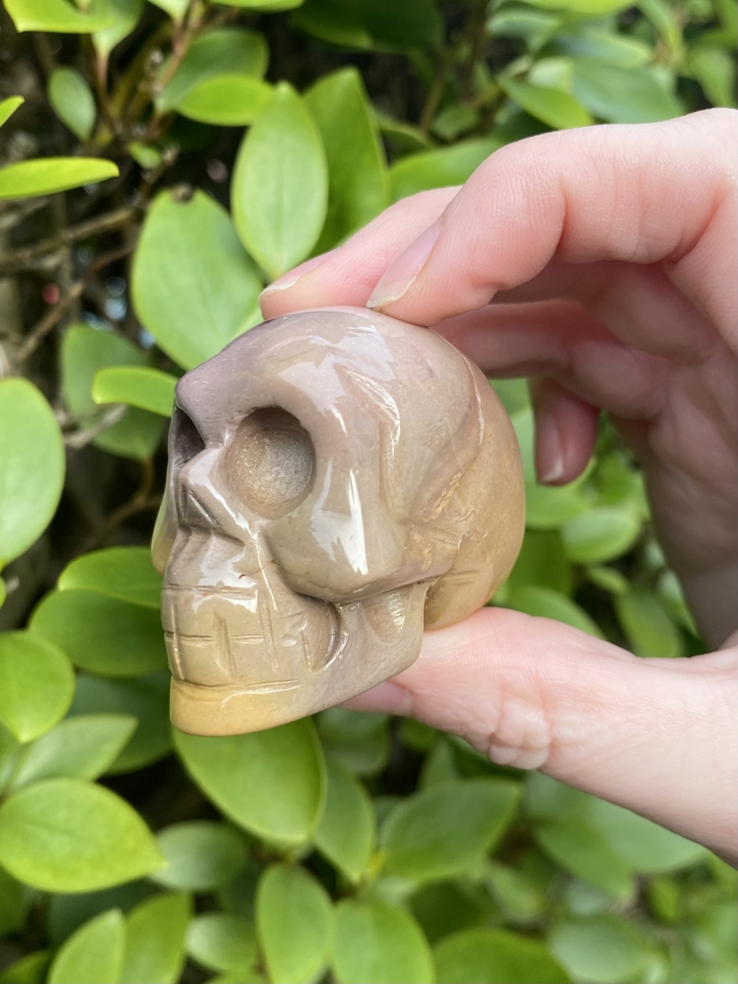 Mookaite Polished Skull