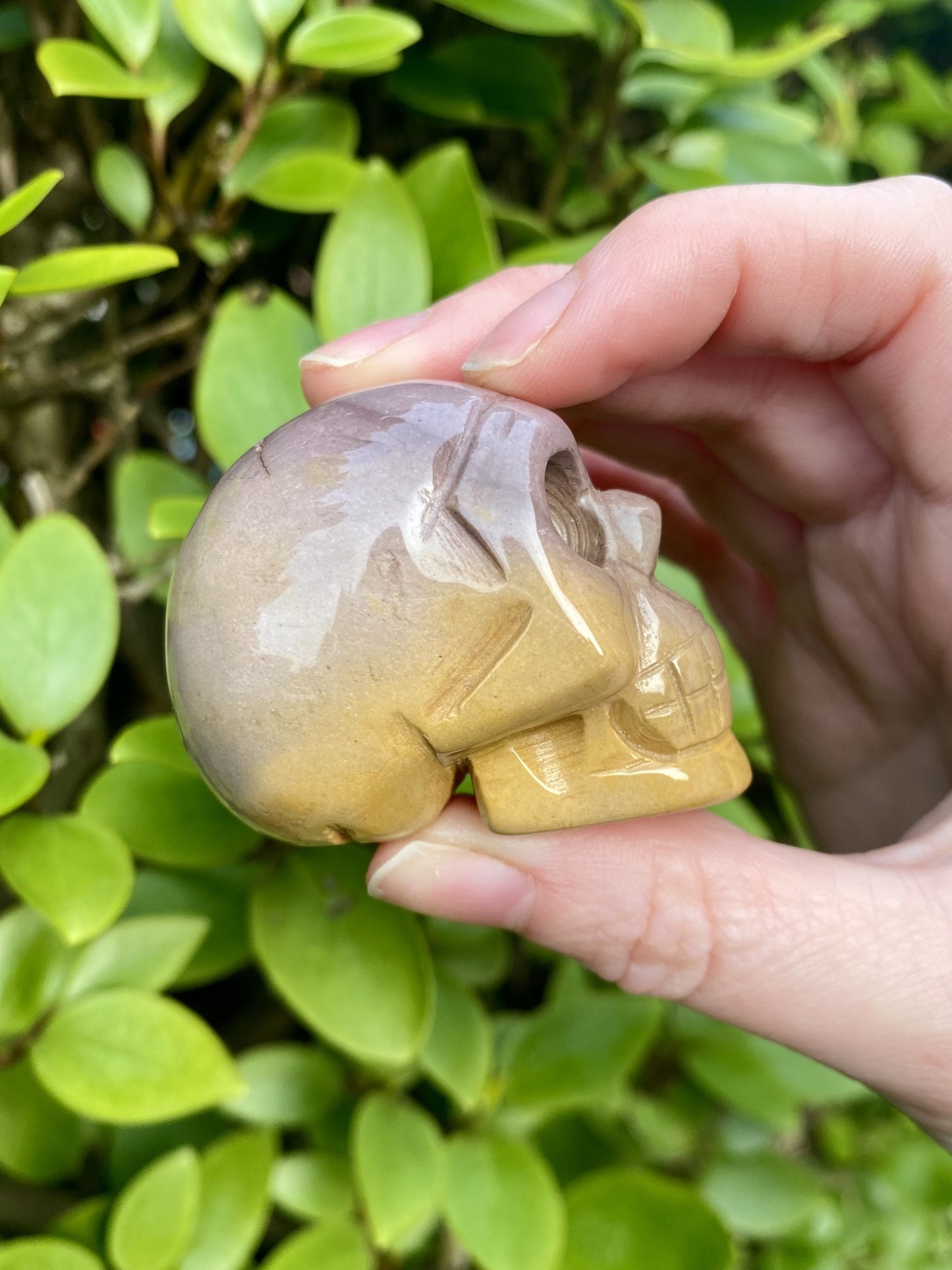 Mookaite Polished Skull