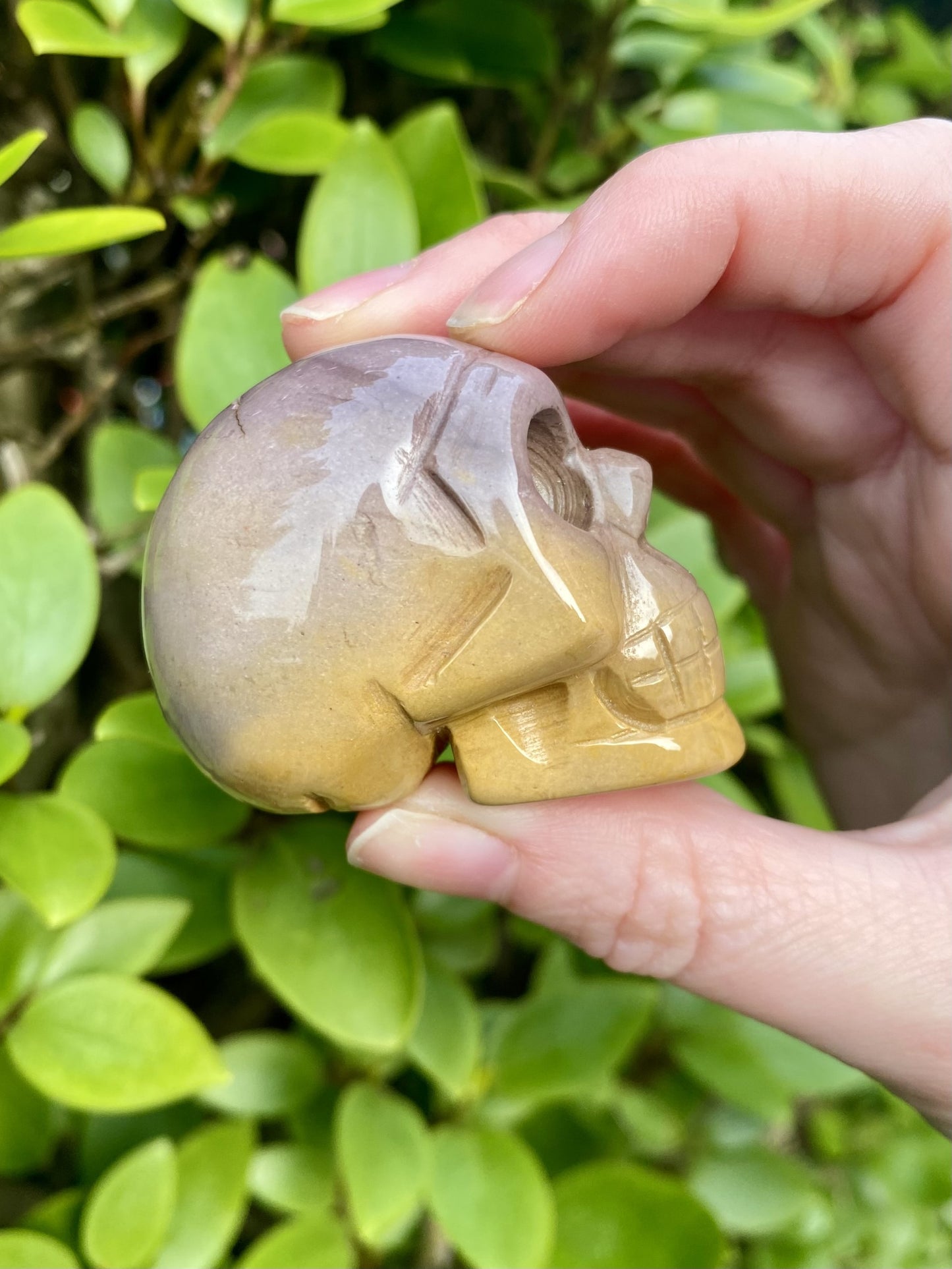 Mookaite Polished Skull