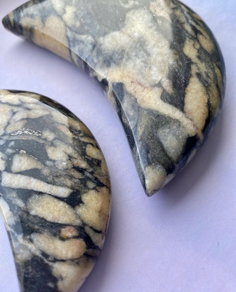 Shell Jasper Moons