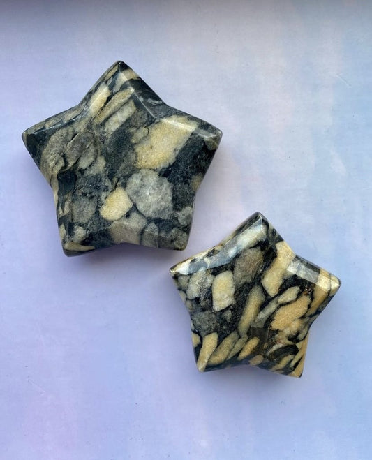 Shell Jasper Stars