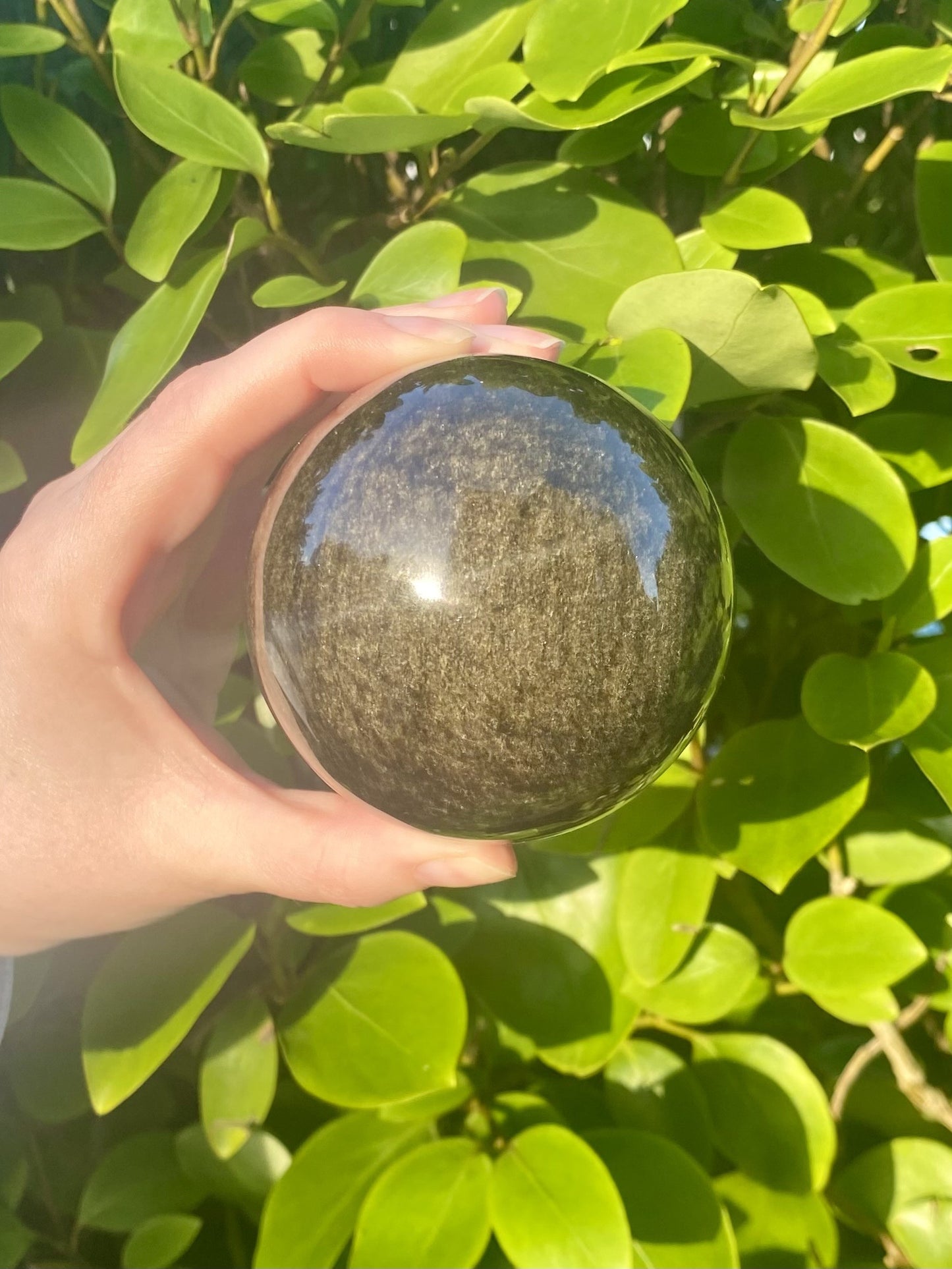 Golden Sheen Black Obsidian Sphere