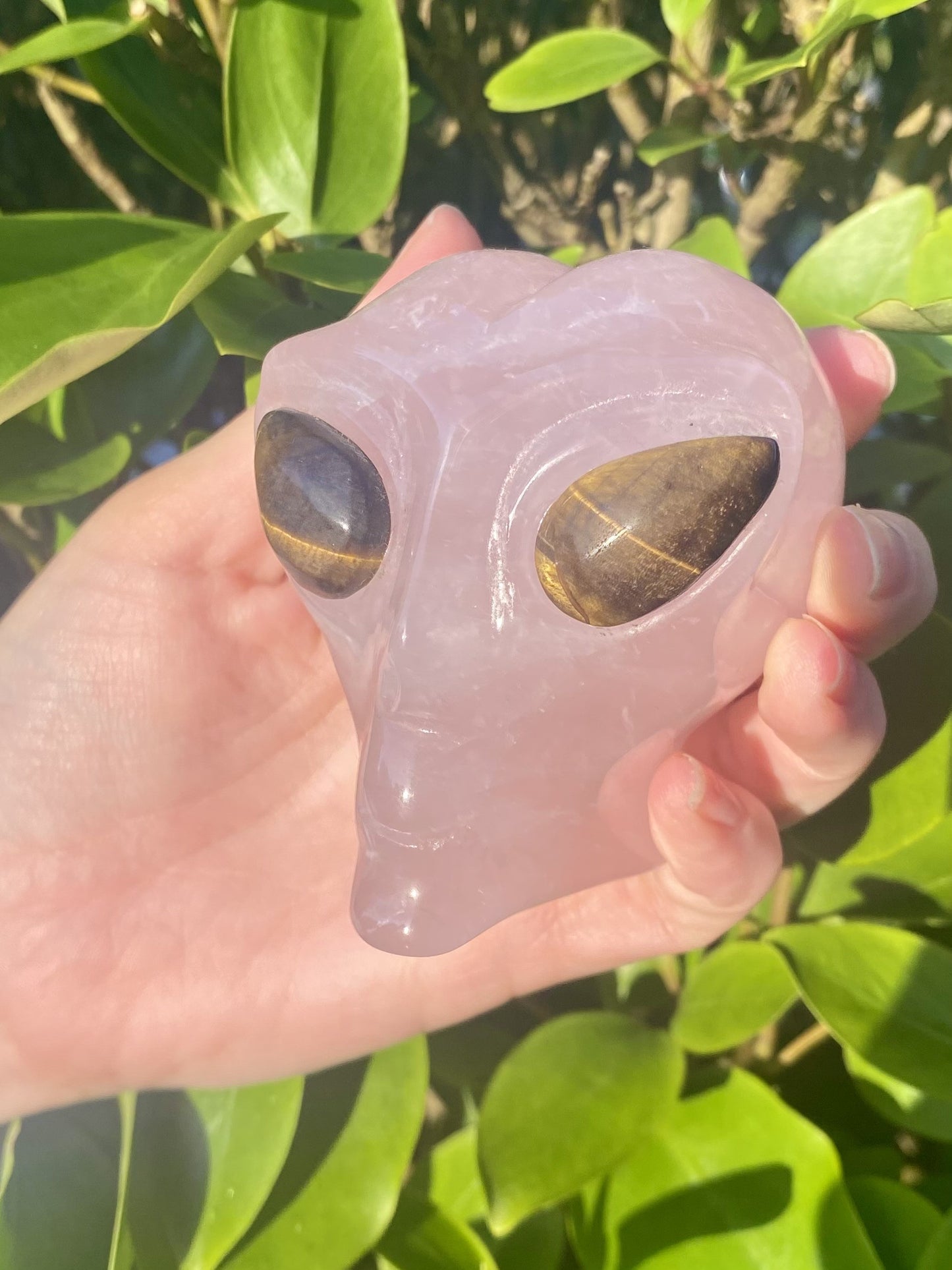 Rose Quartz Alien Head with Tiger's Eye Eyes